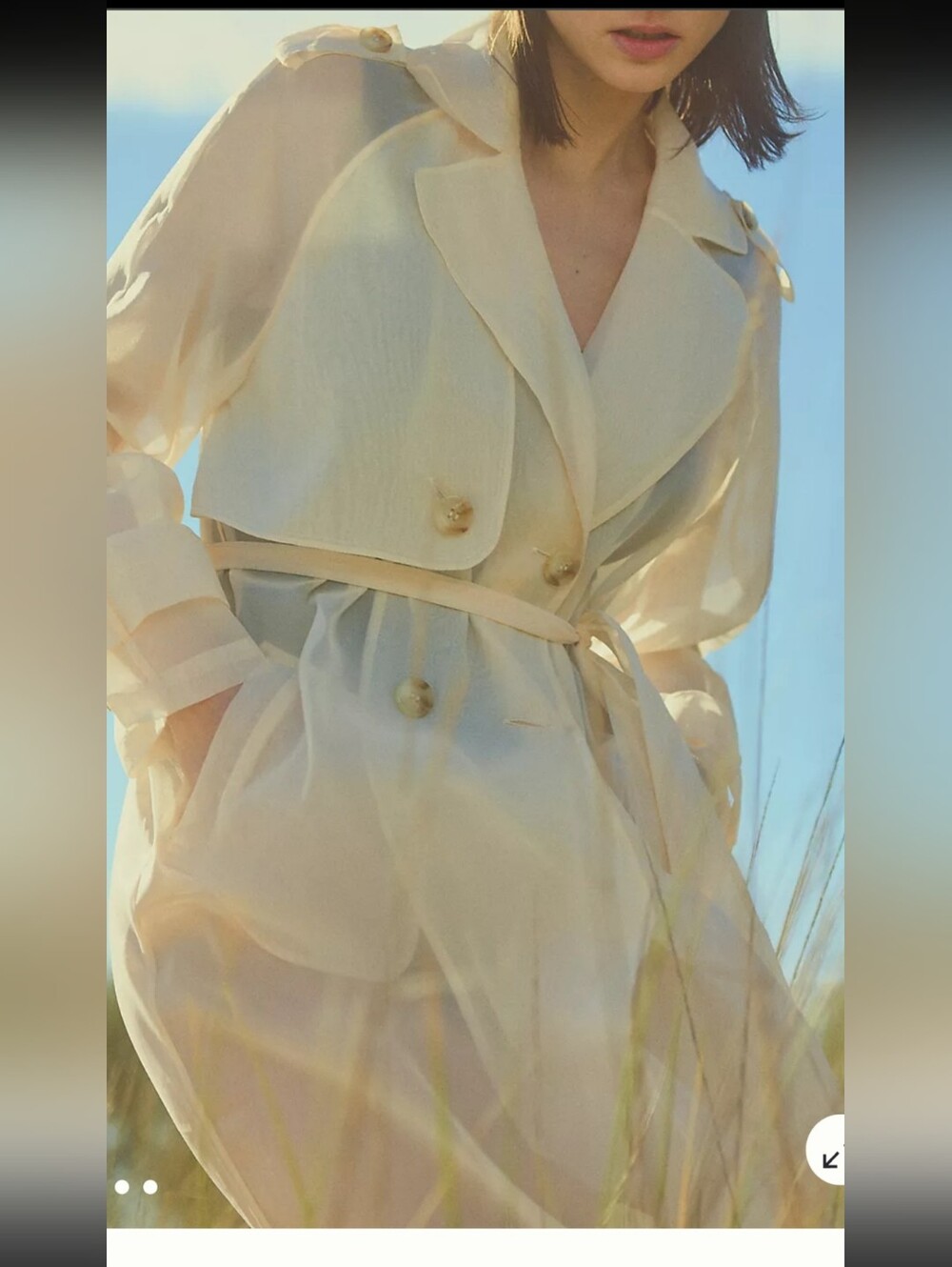 dolan Sheer Cream Trench Robe with Belt